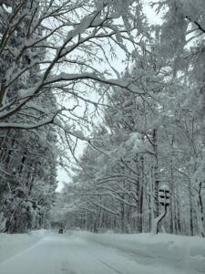 でも好きなんです。 雪景色